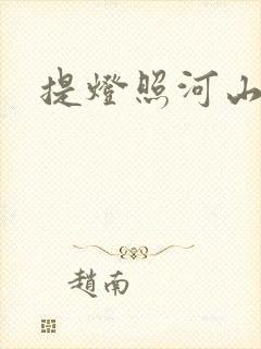 提灯照河山封面