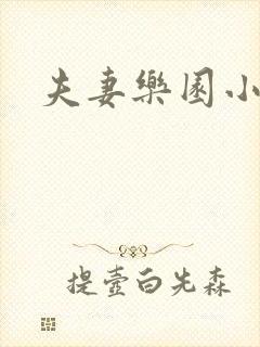 夫妻乐园小说封面