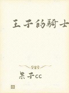 王子的骑士