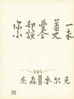 你却爱着一个他小说全文未删减免费