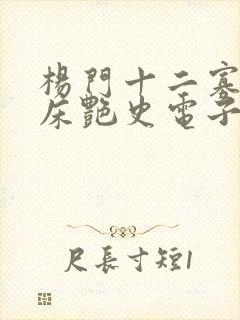 杨门十二寡妇肉床艳史电子书