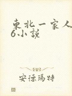 东北一家人1一6小说封面