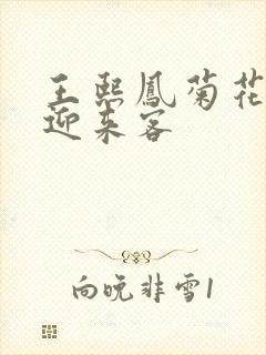 王熙凤菊花门初迎来客封面