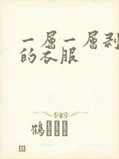一层一层剥开我的衣服
