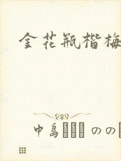 金花瓶楷梅花2封面