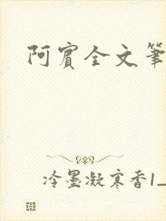 阿宾全文笔趣阁