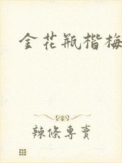 金花瓶楷梅花2封面
