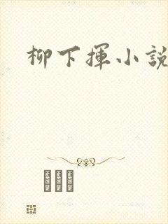 柳下挥小说封面