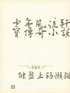 少年风流轩辕大宝传奇小说