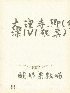 大理寺.卿(双洁1V1破案)