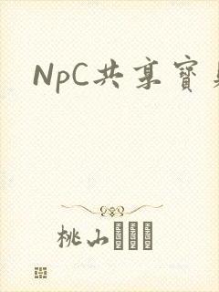 NpC共享宝贝封面