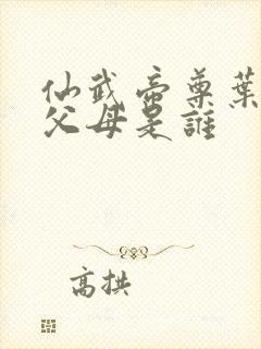 仙武帝尊叶辰的父母是谁