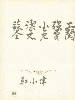 苏洁小强工地情全文免费阅读封面