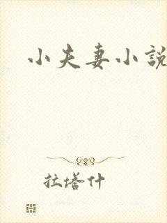 小夫妻小说