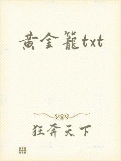 黄金笼txt