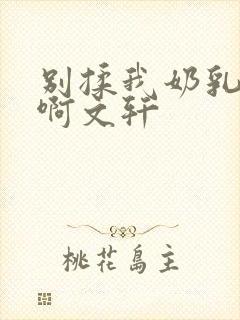 别揉我奶乳嗯～啊文轩