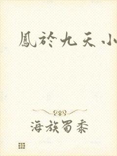 凤于九天小说
