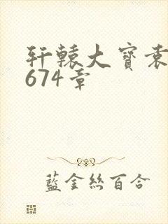 轩辕大宝袁雪妃674章