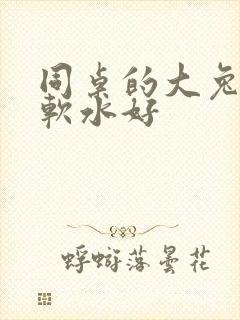 同桌的大兔子好软水好封面