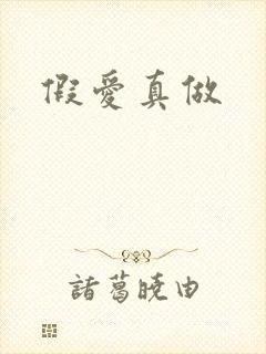 假爱真做
