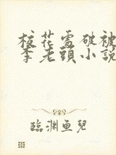 校花处破被灌满李老头小说