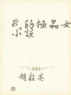 我的极品女老师小说封面