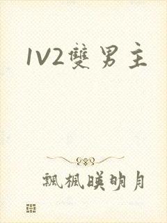 1V2双男主