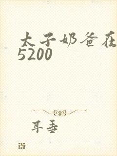 太子奶爸在花都5200封面