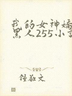 我的女神娇妻与黑人255小说封面