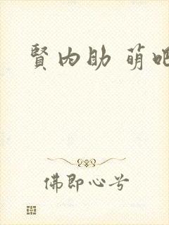 贤内助 萌吧啦封面