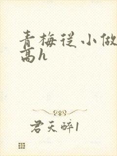 青梅从小做到大高h