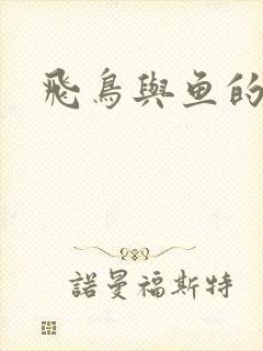 飞鸟与鱼的故事