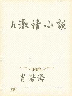 h激情小说封面