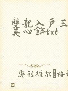 双龙入户三人行夹心饼txt