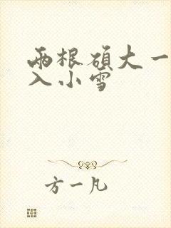 两根硕大一起挤入小雪