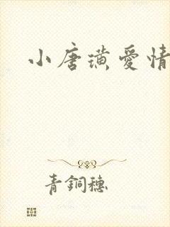 小唐璜爱情历史封面