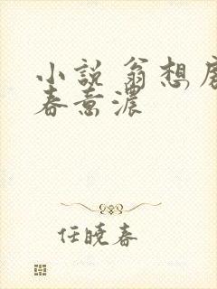 小说 翁想房中春意浓