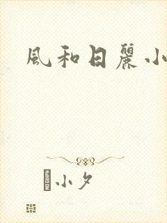 风和日丽小说
