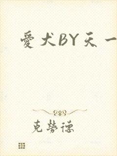 爱犬BY天一