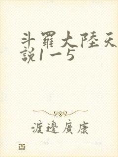 斗罗大陆天狂传说1一5封面