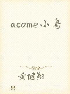 acome小鸟