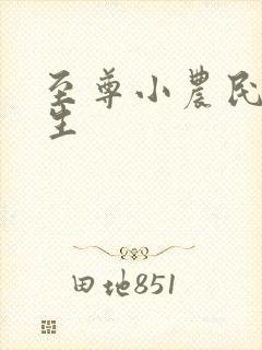 至尊小农民王木生