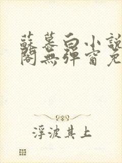 苏慕白小说笔趣阁无弹窗免费阅读