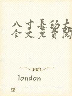 八寸长的大宝贝全文免费阅读