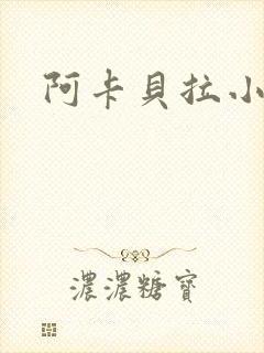 阿卡贝拉小说封面