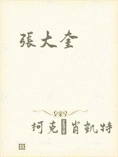 张大奎封面