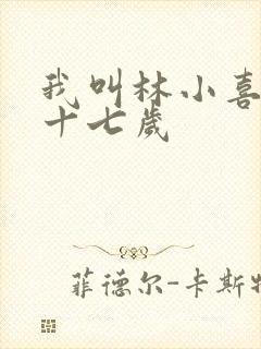 我叫林小喜今年十七岁封面
