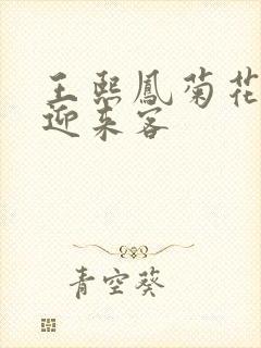 王熙凤菊花门初迎来客封面