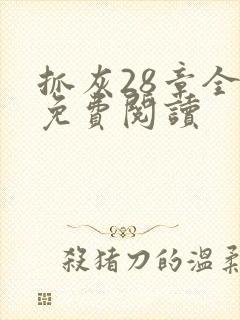 抓灰28章全部免费阅读封面