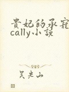 贵妃的承宠日常cally小说封面